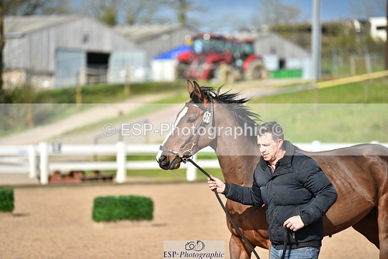 240417A-163806-01282 - 4pm to Finish