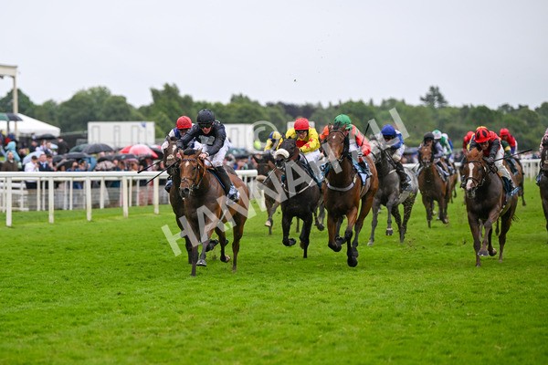 150624-Race 7-Holkham Bay-8176 - Race 7 5.25pm Fordy Marshall Land And Property Consultants Handicap