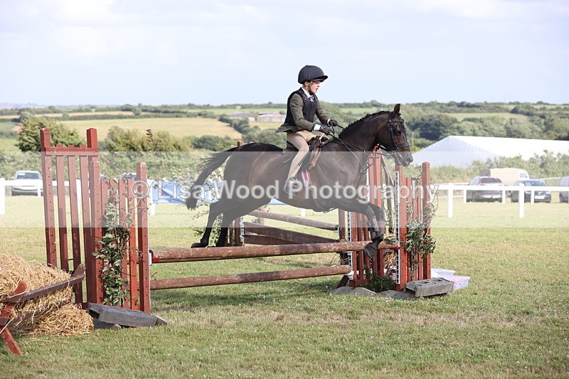 JPP_2785 - Class 20: Working Hunter 70cm