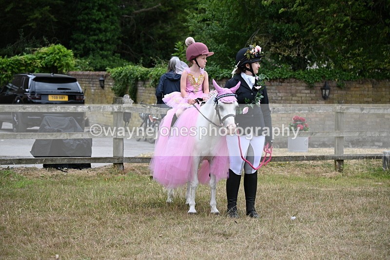 WJ6_9111 - Class 11 Fancy Dress