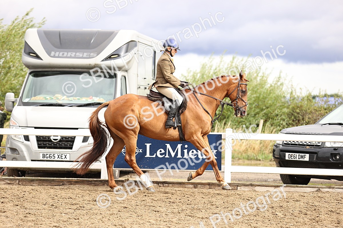 SBM_00582 - Class 53 - Ridden Competition Horse Pony
