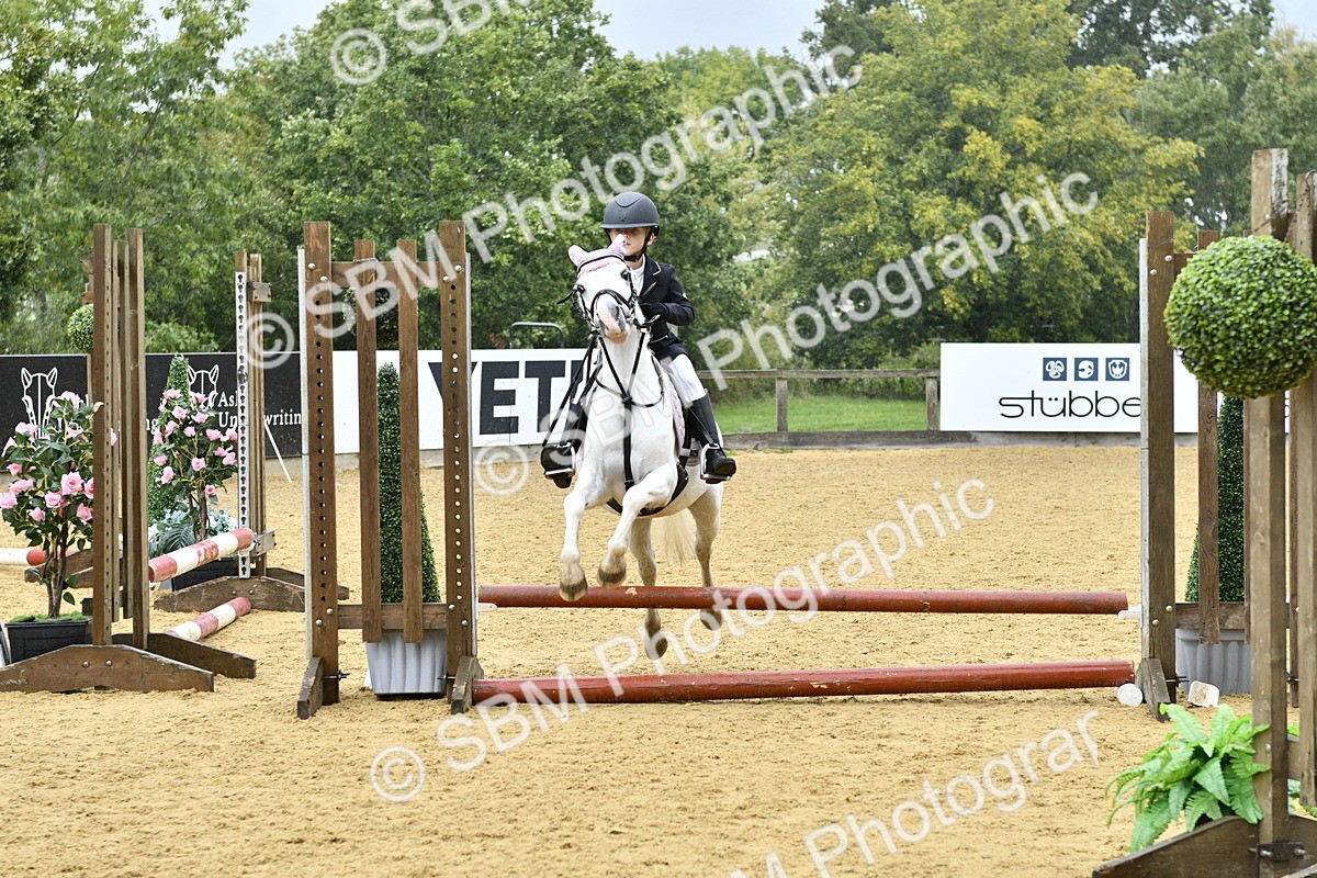 SBM_70897 - J3 - Mini Tour Junior Pony 40cm championship