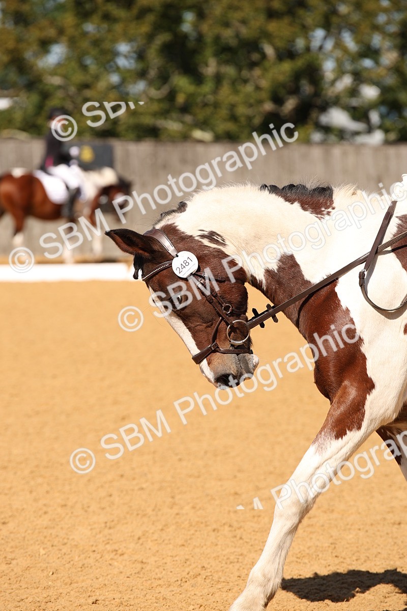 SBM_21632 - D5 - Small Tour Championship - Intro C