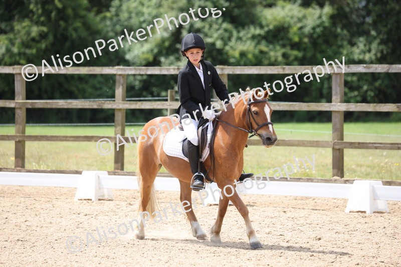 20250614-0620 - Class 5 - Novice 3