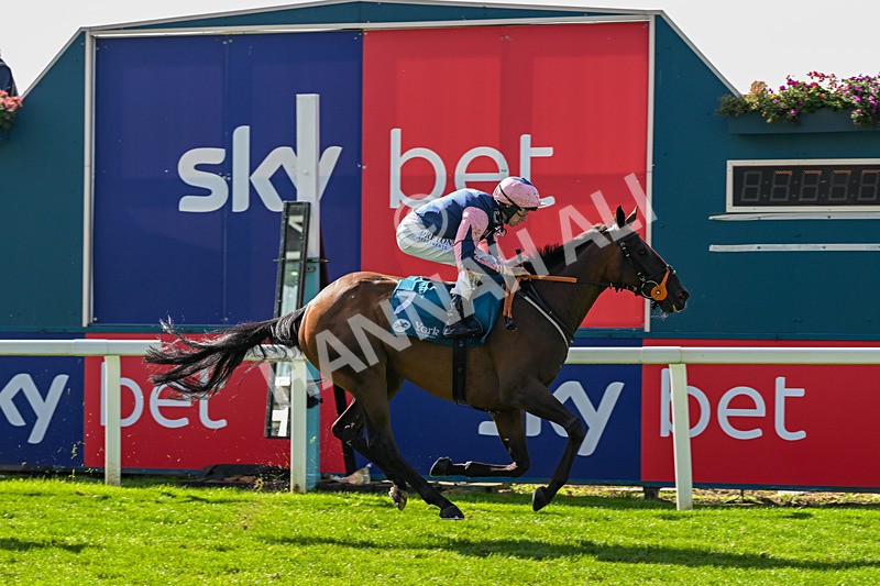 060926-Race 3-Moon Chime-7638 - Race 3 2.40pm Hanson Springs Stayers Handicap