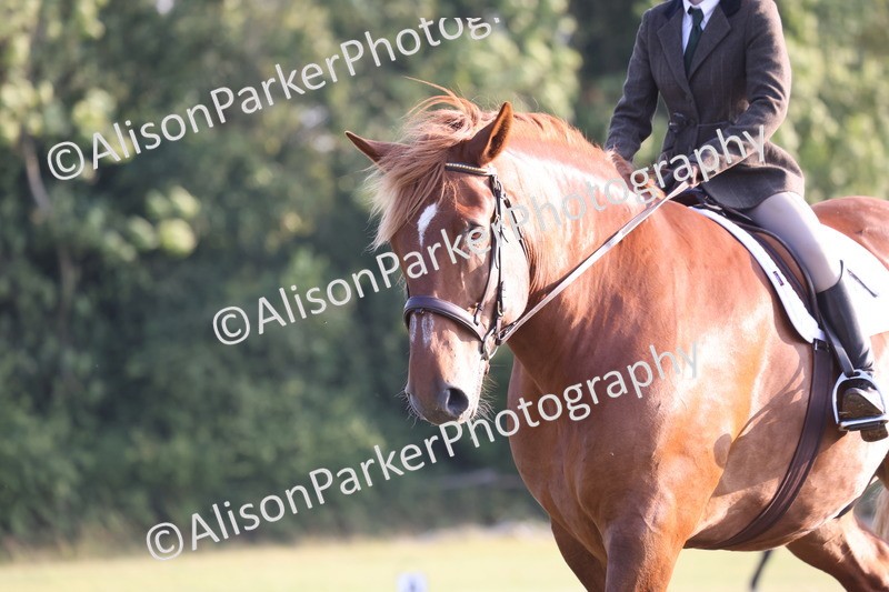 20250731-0790 - Class 1 - Intro 4