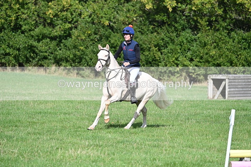 WJ7_8496 - 60cm Pairs