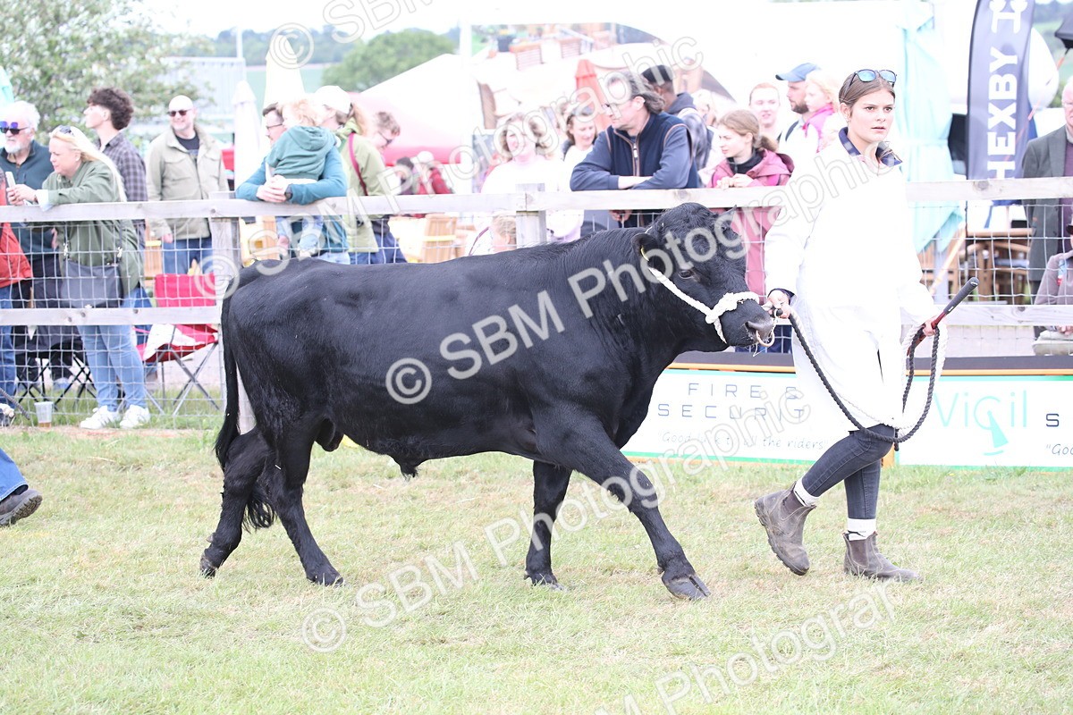 SBM_07850 - Grand Parade