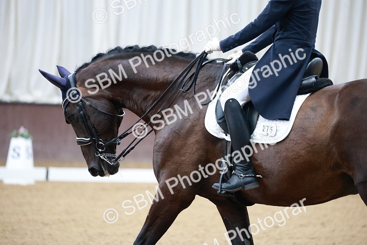 SBM_010140 - Class 13 - FEI PSG - 13.14-14.20