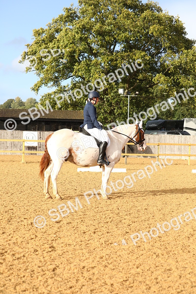SBM_31617 - D11 - Small Tour Championship Prelim 1