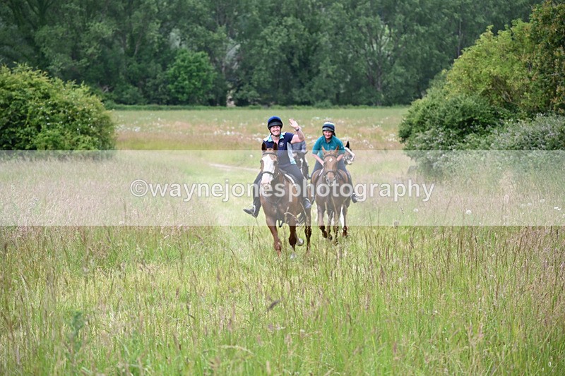 WJ6_8173 - Camera 1 Gallops