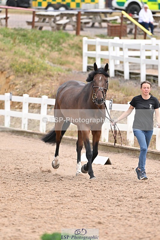 250716-143032-01140 - Trot Up 2.30 to 3.30