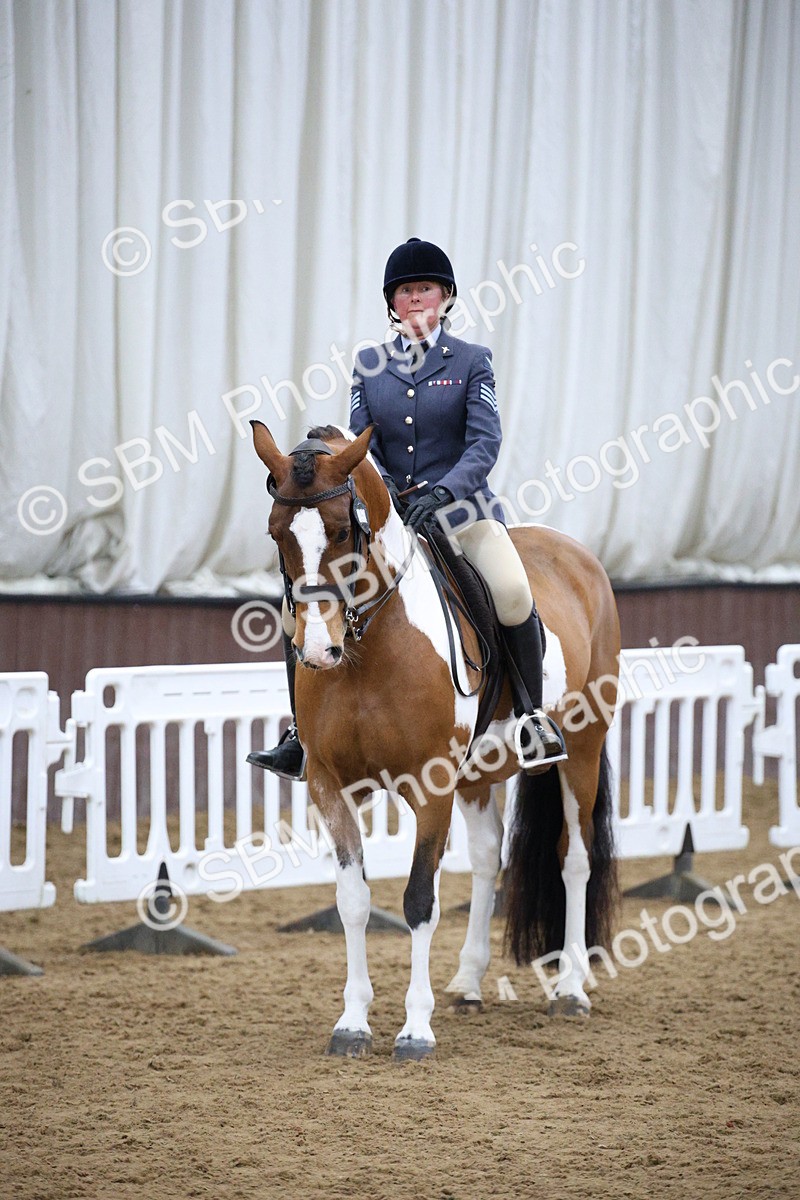 5K7A6114 - Class 48 - Ridden Mare