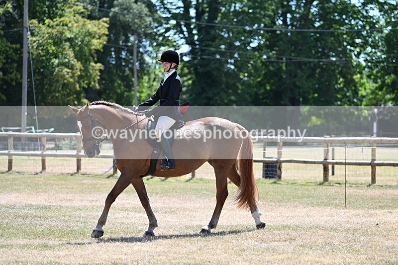 WJ7_2730 - Class 7 Riding Club Show Horse