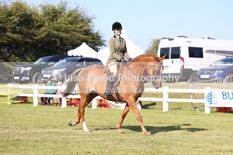 3E7A5292 - Class 2: Rising Star Large Hack/Riding Horse
