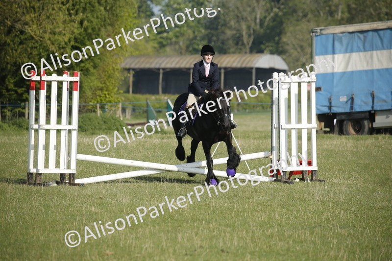 20250427-0219 - Class 12 - Rookie Jumping 40cm