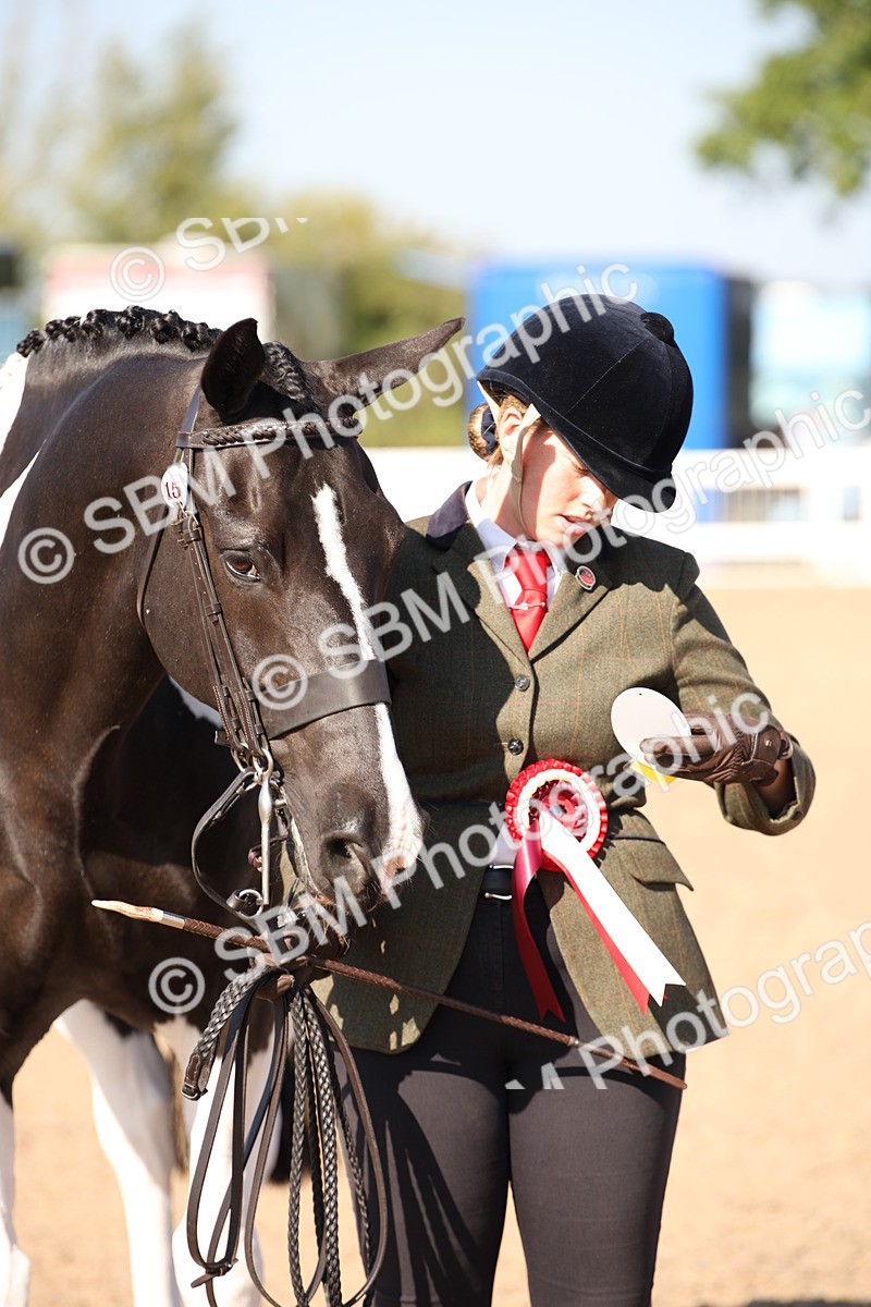 SBM_01561 - Class 15 IH Coloured