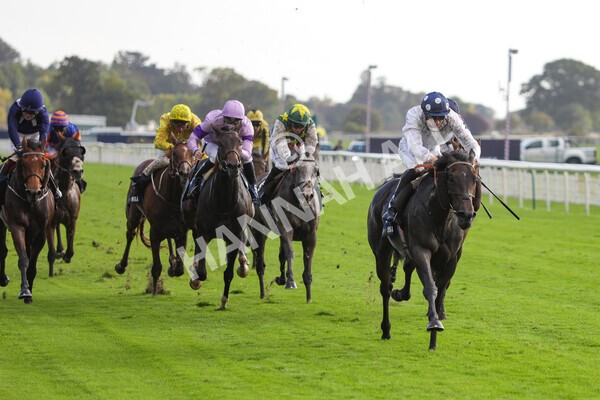 yr07102022r4-40 - Race 4 3.50pm William Hill Best Odds Guaranteed Stakes