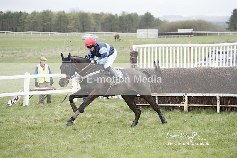 PtP 260323 0476 - New Forest Hounds Point-to-Point Larkhill 26/03/23