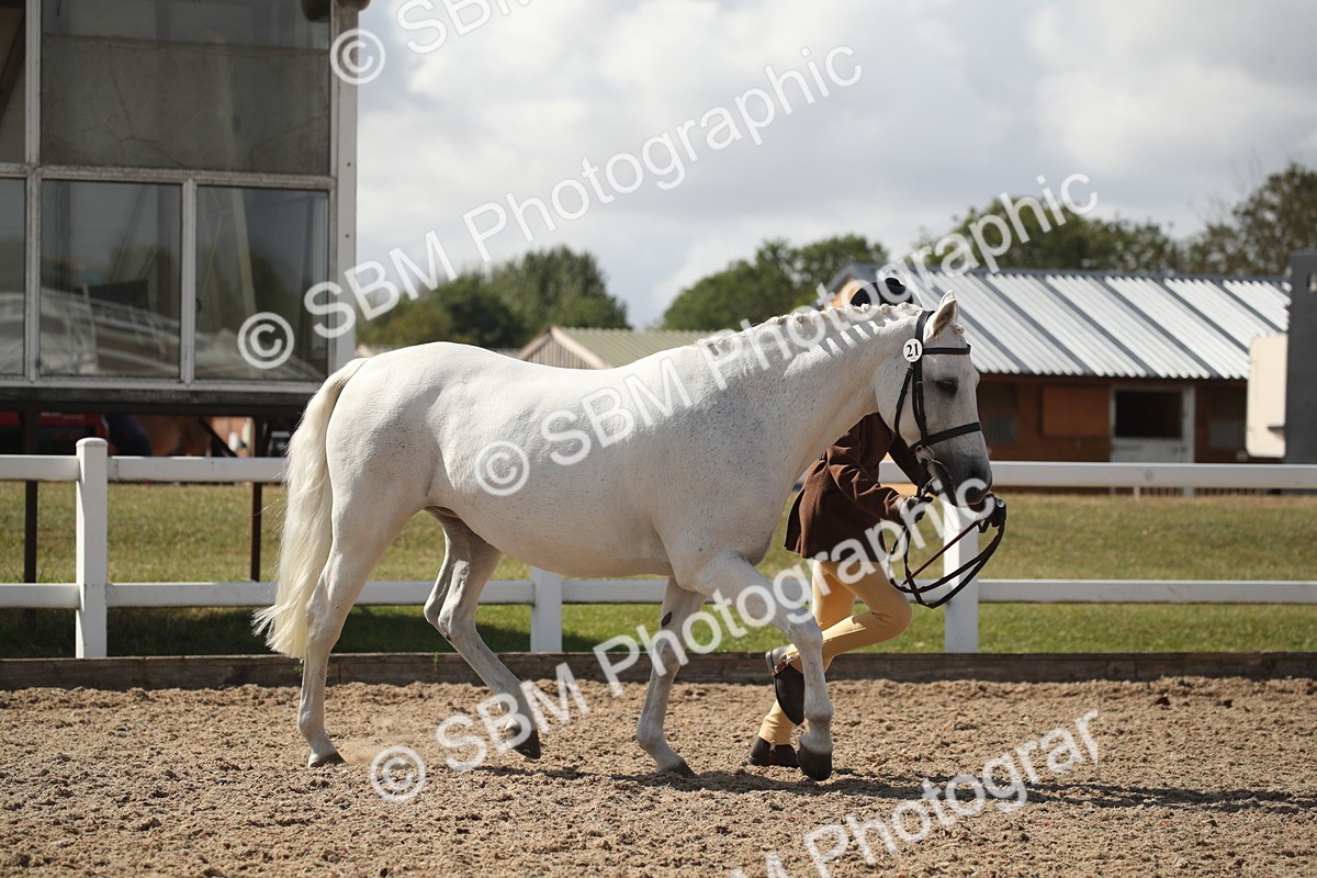 SBM_23525_Class 605 - 2026 - Area - IH Veteran - Vicky Gutteridge