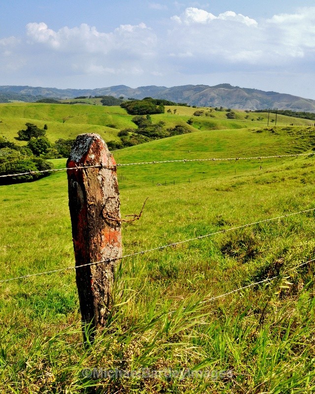 Fencepost - Nature as Art