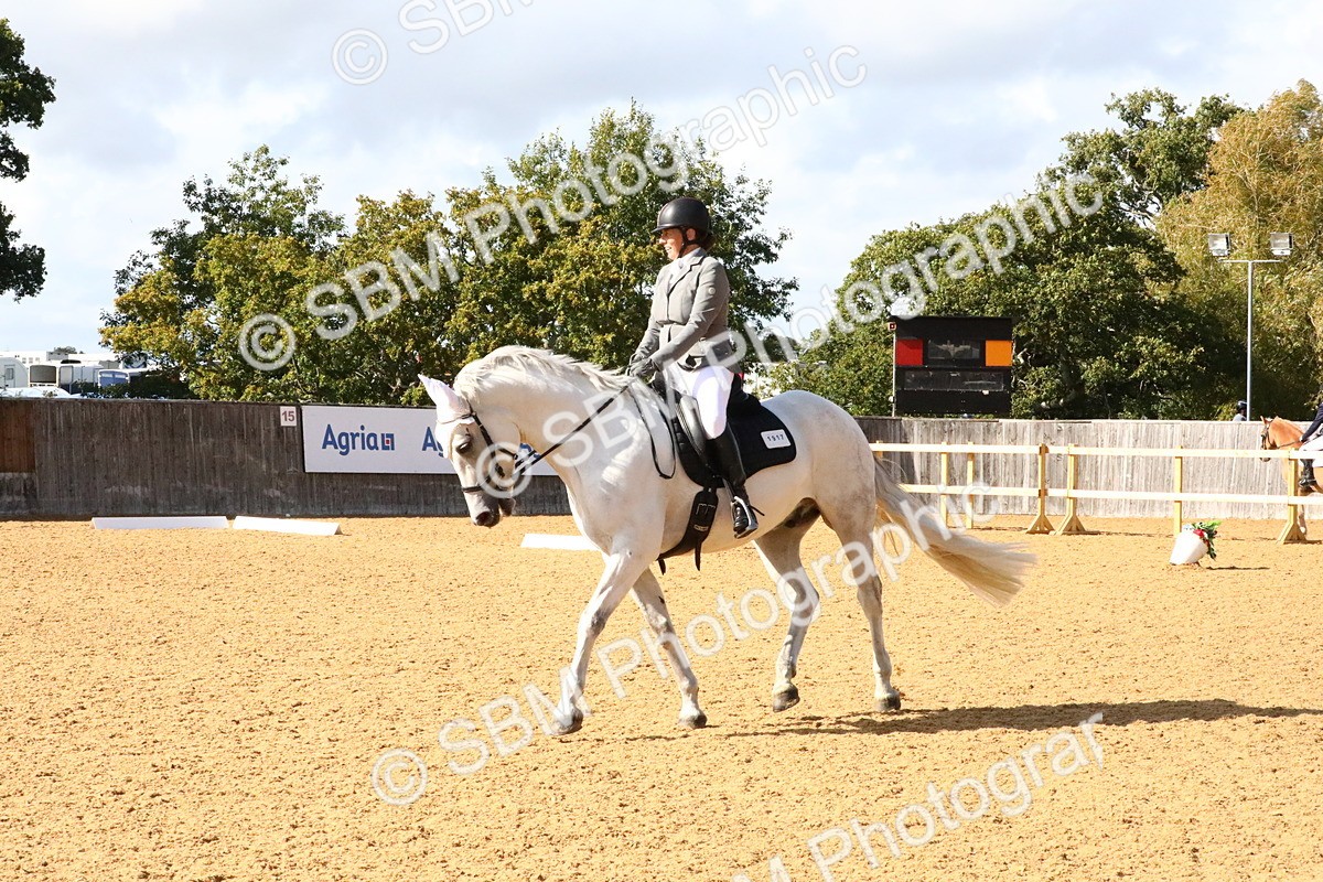 SBM_24461 - D5 - Small Tour Championshop Intro 2