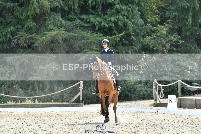 260802A-153443-07509 - Intermediate Bronze