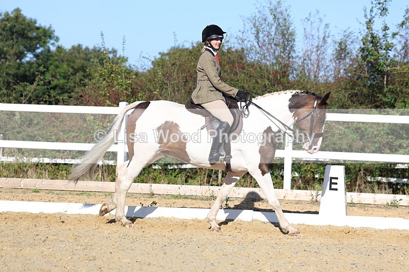 3E7A5289 - Class 8: Small Ridden Hunter