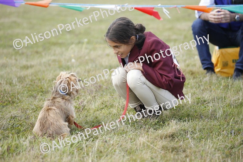 20250831-3612 - Dog Show