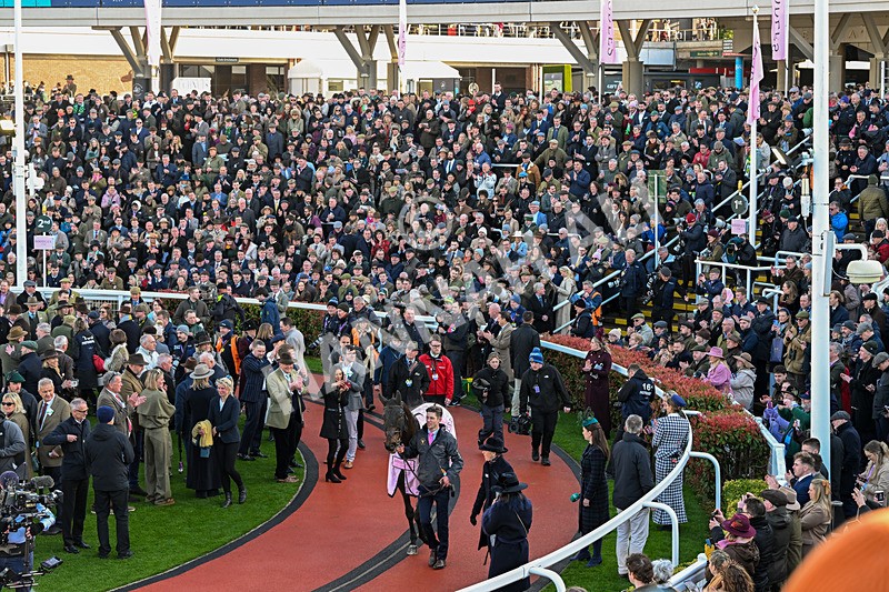 130326-Race 5-Gaelic Warrior-2934 - 13th March