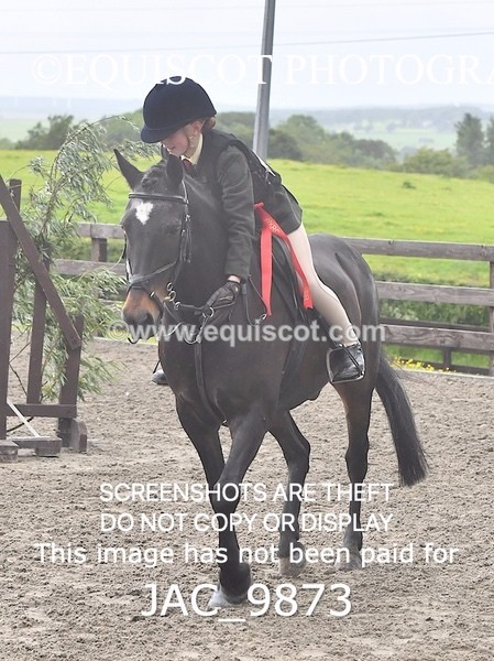 JAC_9873 - CLASS 2 Novice Working Hunter (0.60m - 0.70m)