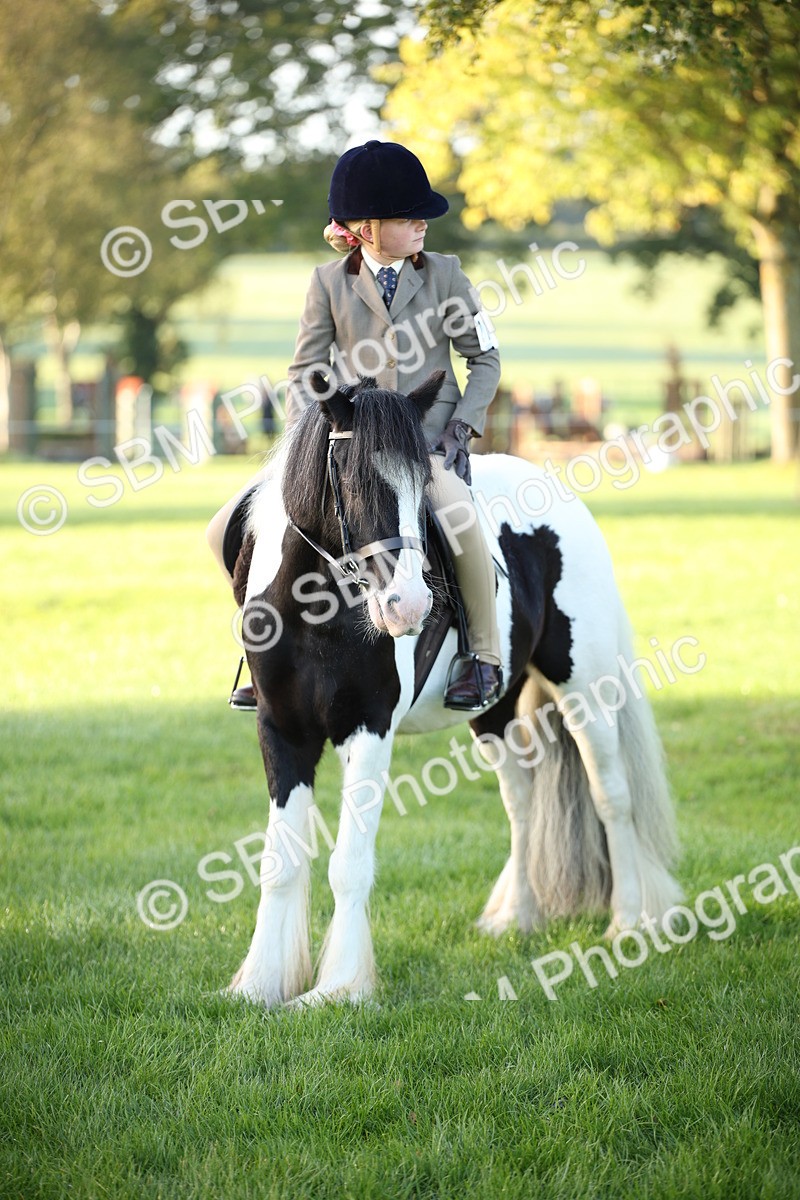 SBM_32320 - S8 - Best Turned Out