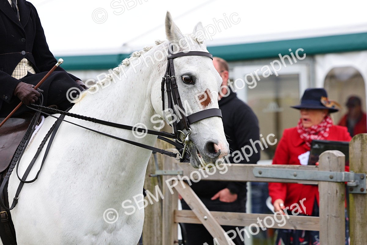 SBM_02917 - Class 9-11 Side Saddle including LIHS Rising Star Ladies Show Horse