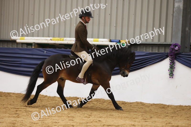 20260913-0604 - Class 126 - Novice Ridden