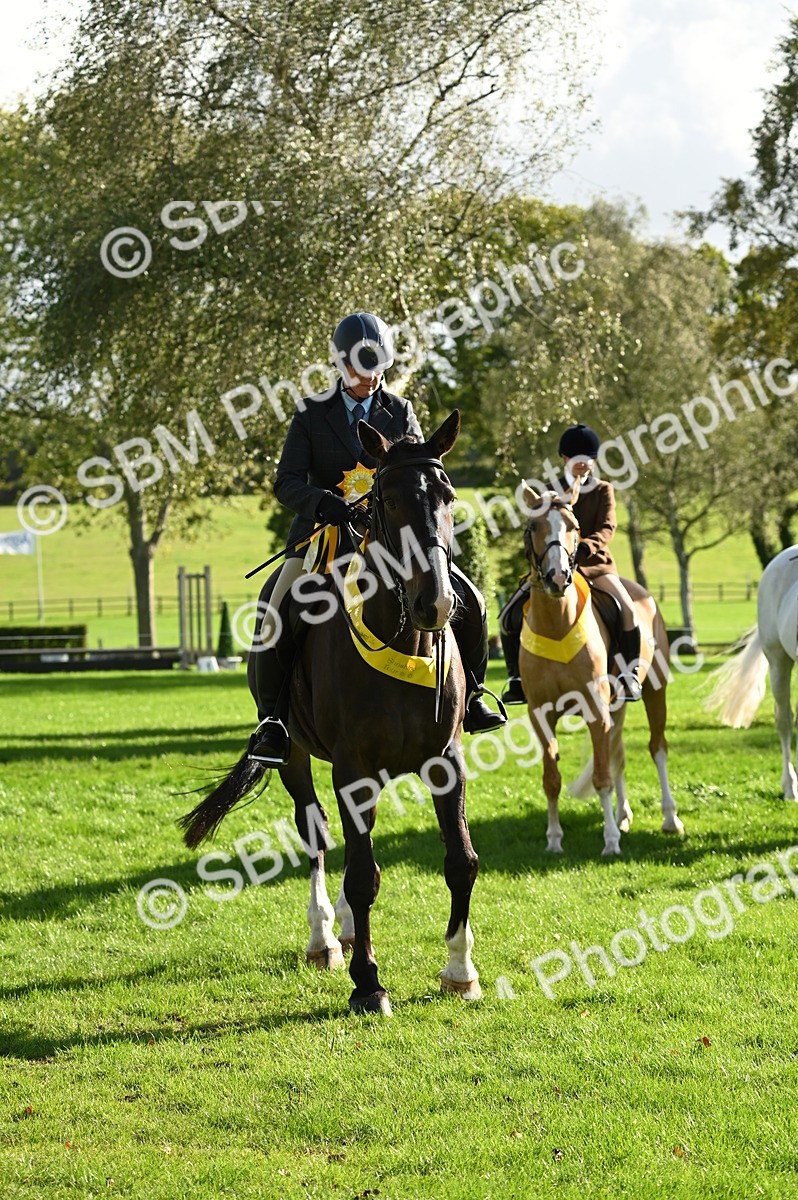 SBM_26459 - S6 - Novice & newcomer Ridden horse
