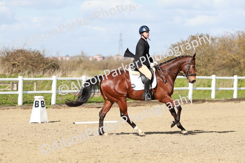 20260314-2993 - DR3 - Prelim 1