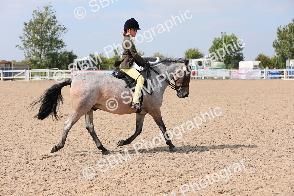 SBM_14700 - Class 310 First Ridden Pony