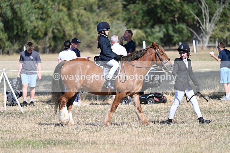 WJ7_3131 - Class 8 Ridden Tack & Turnout