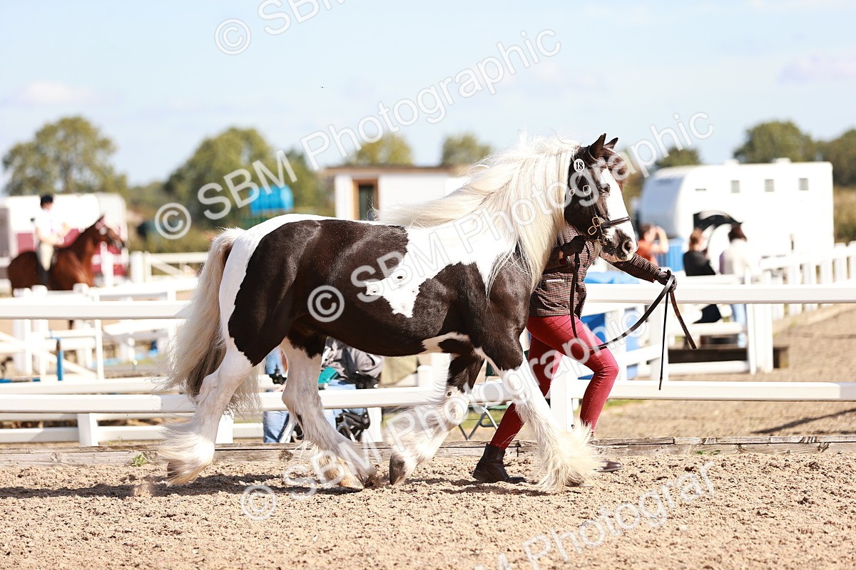 SBM_12562 - Class 404 - IH Traditional - Native Cob