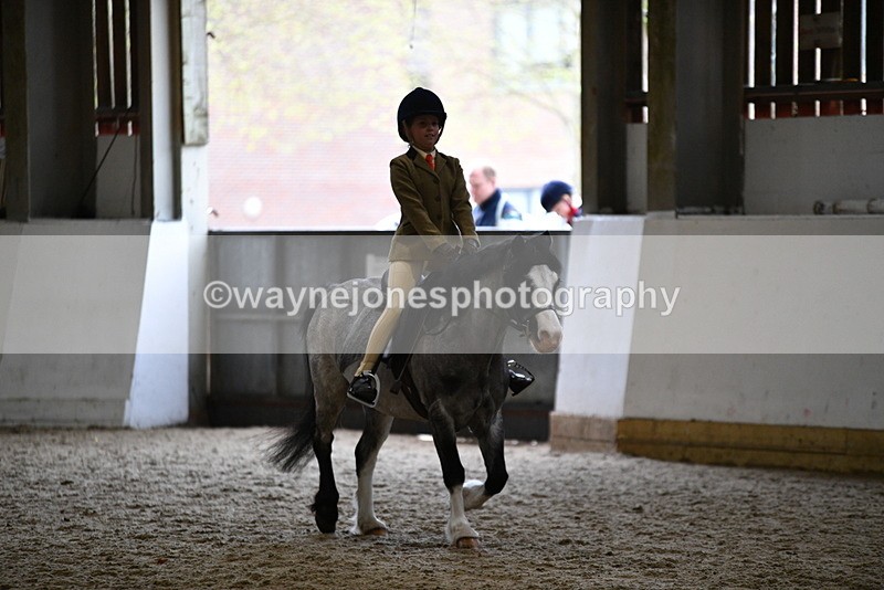 WJ5_6877 - Class 10 Childs Pony