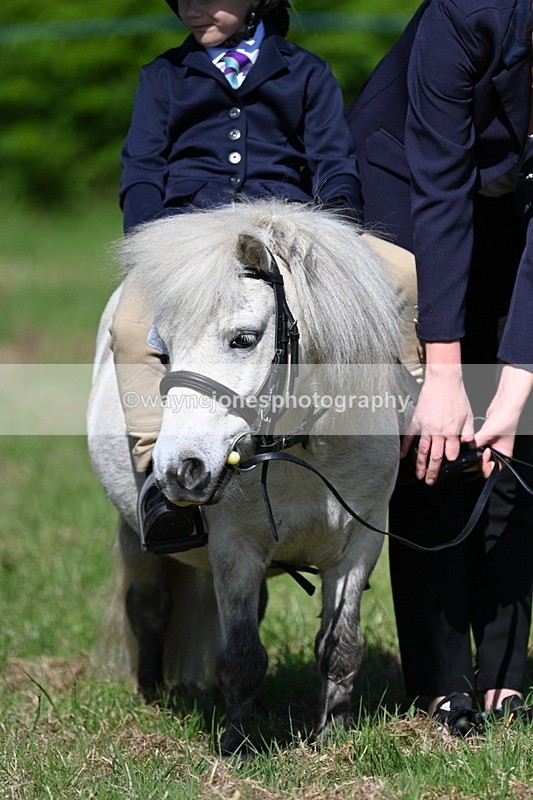 WJ7_0569 - Class 8 First Rally Pony