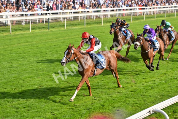 yr05092021r5-42 - Race 5 4.20pm Little Green Rascals Children's Nurseries Stakes