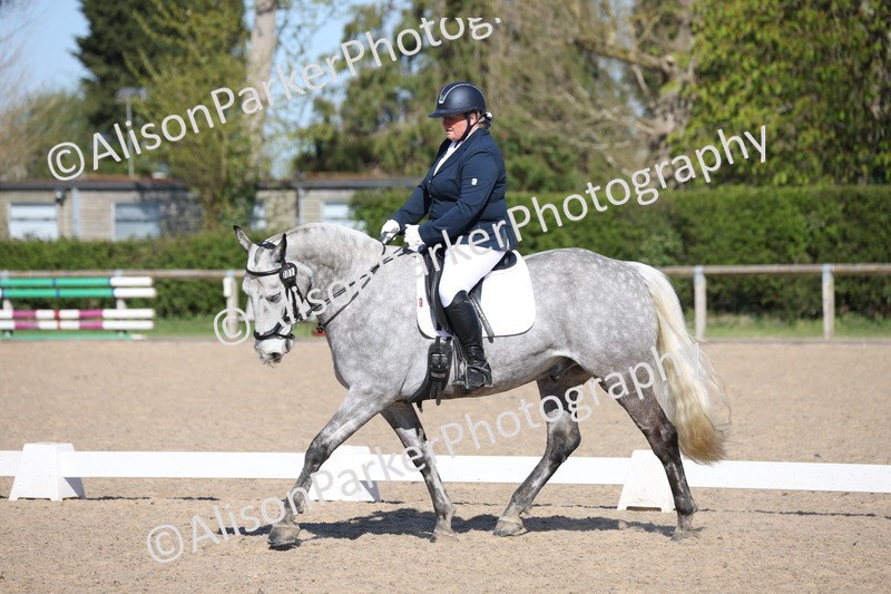 20250406-0451 - Class 3 - Novice 5