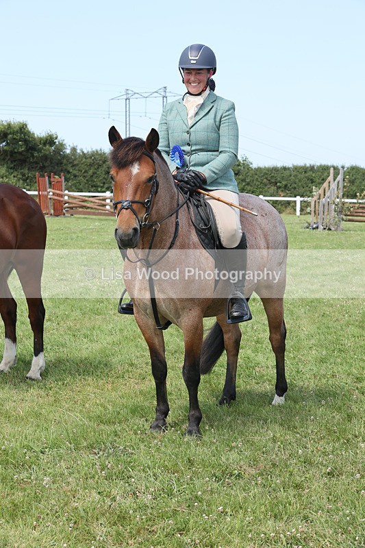 JPP_3472 - Class 22: Working Hunter 70cm