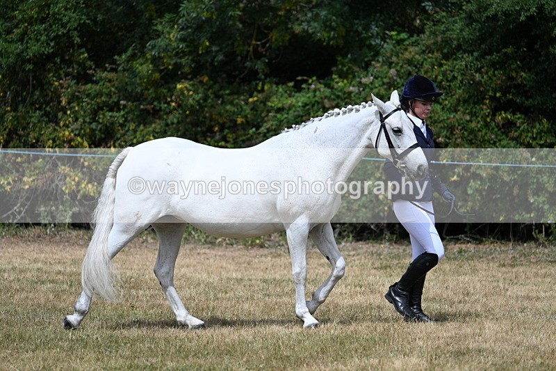 WJ7_1628 - Class 4 Prettiest Mare up to 14.2hh in hand
