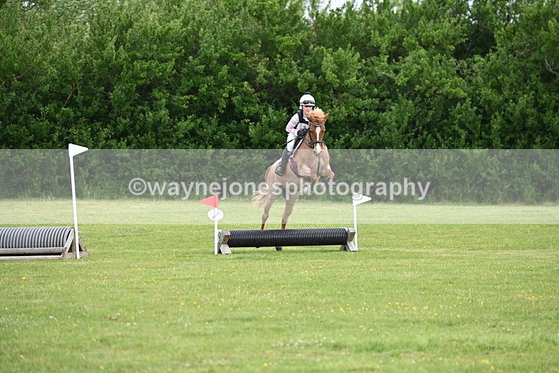 WJ6_2444 - Class 2 40cm