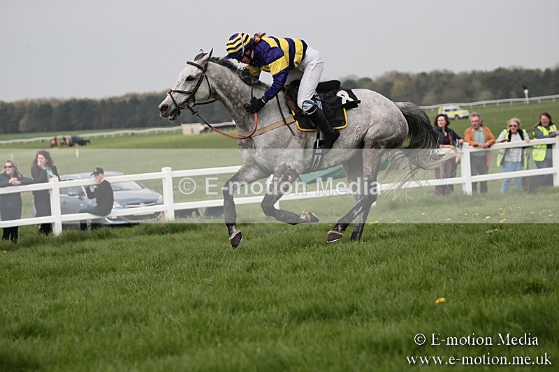 PtP 210418 290 - South & West Wilts Point-to-Point Larkhill 21/04/18