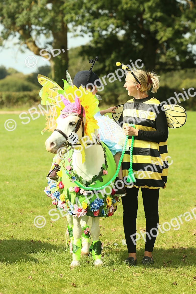 SBM_63649 - S35 - Fancy Dress Showing