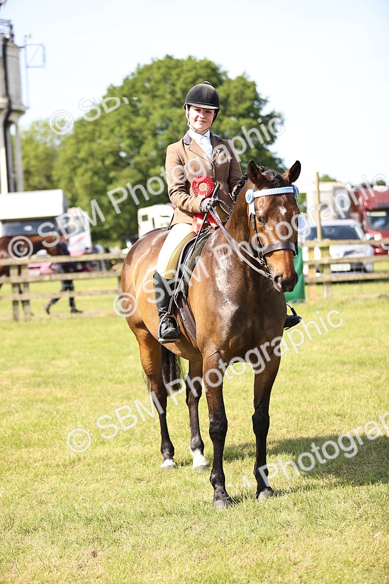 SBM_12949 - Class 75-76 LIHS BSHA Rising Star Hack Riding Horse