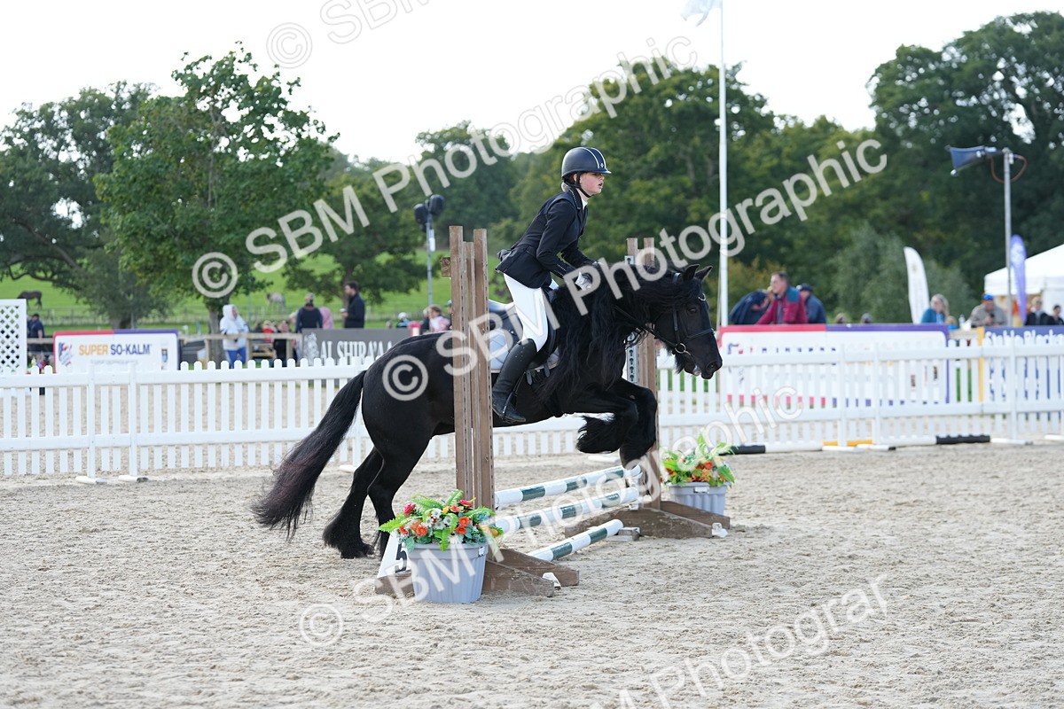 SBM_17905 - J58 - Clear Round 50cm